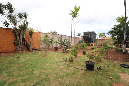 Casa para alugar com 285m², 6 quartos e 3 vagasQuintal