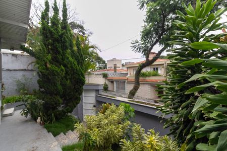 Casa para alugar com 520m², 8 quartos e 2 vagasQuintal