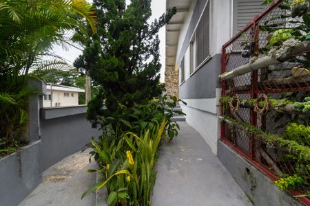 Casa para alugar com 520m², 8 quartos e 2 vagasQuintal