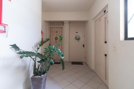 Apartamento à venda com 56m², 2 quartos e sem vagaCorredor