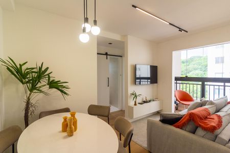 Sala de apartamento para alugar com 2 quartos, 41m² em Usina Piratininga, São Paulo