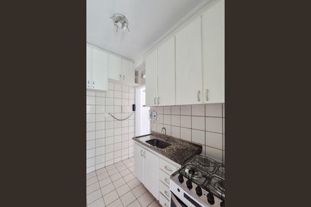 Apartamento para alugar com 50m², 2 quartos e 1 vaga Apartamento para alugar com 50m², 2 quartos e 1 vagaCozinha - Armários