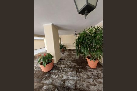 Apartamento à venda com 3 quartos, 186m² em Conceicao, Campinas