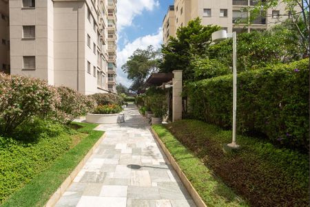 Apartamento para alugar com 51m², 2 quartos e 1 vagaÁrea Comum