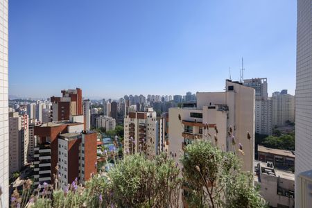 Apartamento para alugar com 877m², 5 quartos e 8 vagas Apartamento para alugar com 877m², 5 quartos e 8 vagasVista do Quarto 3