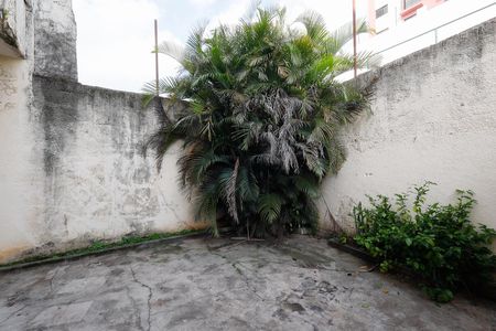 Casa à venda com 250m², 5 quartos e 5 vagasQuintal