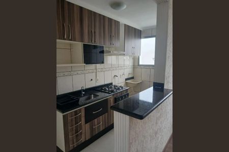 Cozinha de apartamento para alugar com 2 quartos, 52m² em Recanto Quarto Centenario - Gramadão, Jundiaí