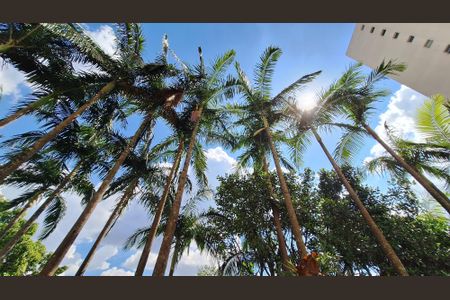 Apartamento à venda com 73m², 3 quartos e 1 vagaÁrea comum