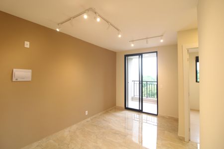 Sala de apartamento para alugar com 2 quartos, 49m² em Usina Piratininga, São Paulo