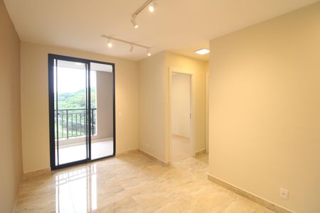 Sala de apartamento para alugar com 2 quartos, 49m² em Usina Piratininga, São Paulo