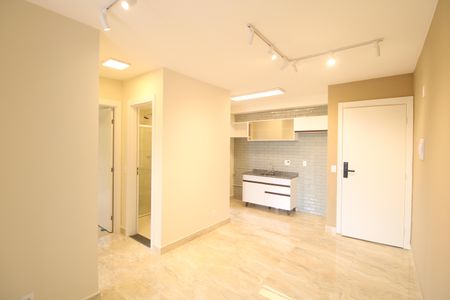 Sala de apartamento para alugar com 2 quartos, 49m² em Usina Piratininga, São Paulo