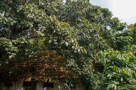 Casa à venda com 150m², 4 quartos e 1 vagaCozinha Vista