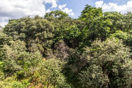 Apartamento para alugar com 64m², 3 quartos e 1 vagaVista do Quarto 1