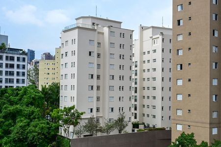 Vista de kitnet/studio para alugar com 1 quarto, 31m² em Vila Suzana, São Paulo