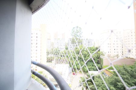 Varanda de kitnet/studio para alugar com 1 quarto, 31m² em Vila Suzana, São Paulo