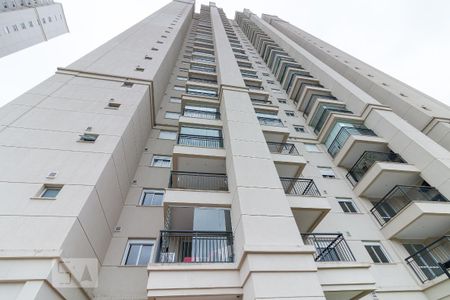 Apartamento para alugar com 40m², 1 quarto e 1 vagaÁrea comum 