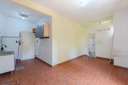 Kitnet de apartamento para alugar com 1 quarto, 30m² em Centro Histórico de São Paulo, São Paulo