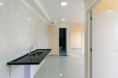 Apartamento para alugar com 32m², 2 quartos e sem vagaCozinha