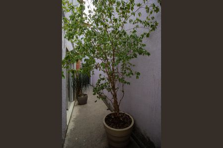 Casa de condomínio para alugar com 150m², 3 quartos e 1 vaga Casa de condomínio para alugar com 150m², 3 quartos e 1 vagaQuintal