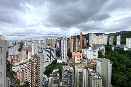 Vista da Sala de Estar de apartamento para alugar com 4 quartos, 280m² em Sion, Belo Horizonte
