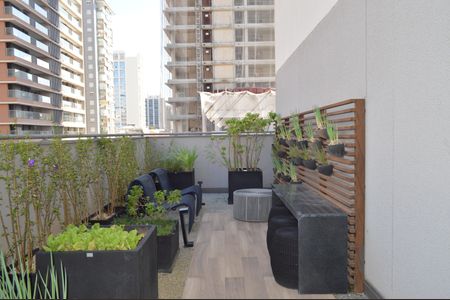 Studio para alugar com 25m², 1 quarto e sem vagaHorta