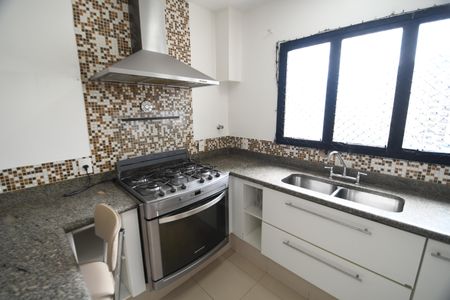 Apartamento para alugar com 245m², 4 quartos e 2 vagasCozinha