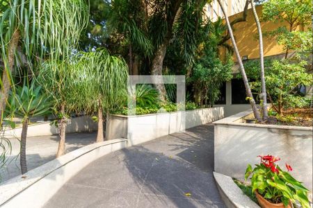 Apartamento para alugar com 55m², 2 quartos e 1 vaga Apartamento para alugar com 55m², 2 quartos e 1 vagaÁrea Comum