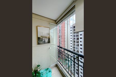 Varanda da Sala de apartamento para alugar com 3 quartos, 74m² em Vila Regente Feijó, São Paulo