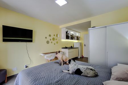 Studio para alugar com 30m², 1 quarto e sem vagaStudio