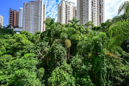 Apartamento para alugar com 38m², 1 quarto e 1 vagaVista