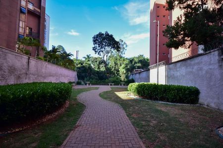 Apartamento para alugar com 38m², 1 quarto e 1 vaga Apartamento para alugar com 38m², 1 quarto e 1 vagaEspaço Pet Público