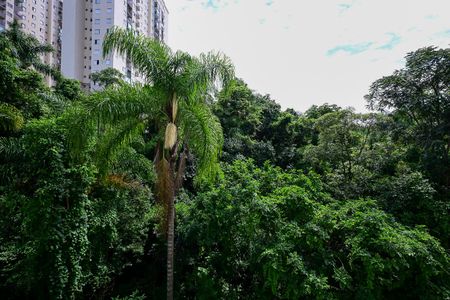 Apartamento para alugar com 38m², 1 quarto e 1 vagaVista do Quarto