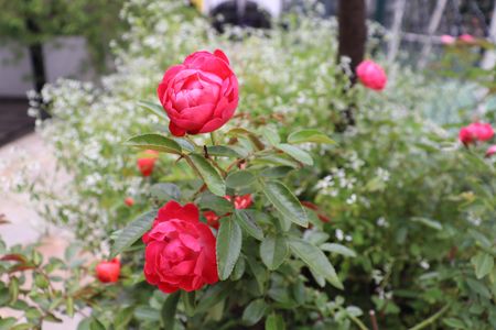 Apartamento para alugar com 130m², 4 quartos e 1 vagaÁrea comum