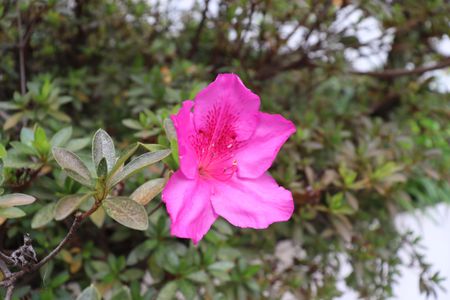 Apartamento para alugar com 130m², 4 quartos e 1 vagaÁrea comum