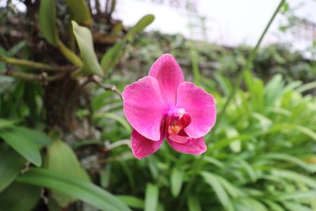 Apartamento para alugar com 130m², 4 quartos e 1 vagaÁrea comum