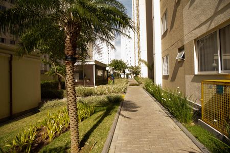 Apartamento para alugar com 45m², 2 quartos e 1 vagaÁrea comum