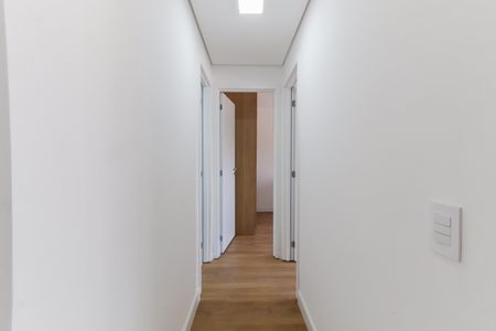 Sala - Corredor de apartamento para alugar com 2 quartos, 56m² em Butantã, São Paulo