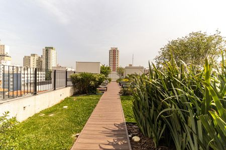 Studio para alugar com 25m², 1 quarto e sem vagaSolário