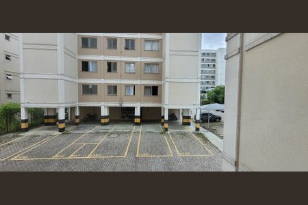 vista sala de apartamento para alugar com 2 quartos, 46m² em São João, Betim