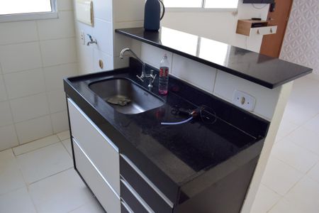 Apartamento para alugar com 43m², 2 quartos e 1 vagaCozinha - Armários