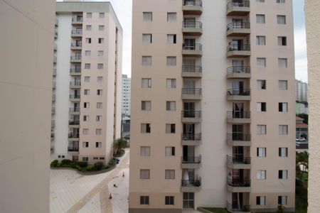 Apartamento para alugar com 52m², 2 quartos e 1 vagaVista do Quarto 1