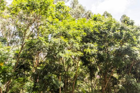 Apartamento para alugar com 139m², 3 quartos e 2 vagasVista da Suíte