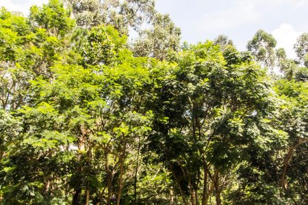 Apartamento para alugar com 139m², 3 quartos e 2 vagasVista da Varanda