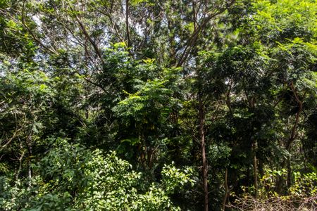 Apartamento para alugar com 139m², 3 quartos e 2 vagasVista da Suíte