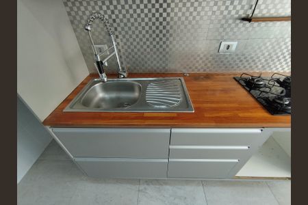 Apartamento para alugar com 50m², 2 quartos e 2 vagasCozinha - Torneira