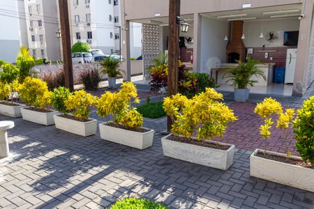 Apartamento para alugar com 40m², 2 quartos e sem vaga Apartamento para alugar com 40m², 2 quartos e sem vagaJardim