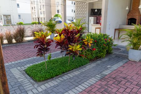 Apartamento para alugar com 40m², 2 quartos e sem vaga Apartamento para alugar com 40m², 2 quartos e sem vagaJardimJardim