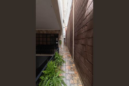 Casa para alugar com 250m², 3 quartos e 5 vagas Casa para alugar com 250m², 3 quartos e 5 vagasCorredor