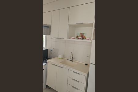 Cozinha de apartamento para alugar com 2 quartos, 50m² em Shopping Park, Uberlândia