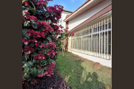 Casa à venda com 160m², 3 quartos e 4 vagasFoto 16